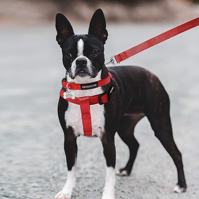 No Pull Dog Harness - Adjustable Step-in Harness & Leash Set for Small, Medium, Large Dogs - Escape Proof Soft Pet Harness for Walking, Training, Hiking, Outdoor Activities