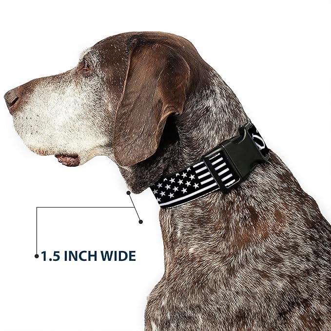 Dog Collar Plastic Clip Americana Flag We The People Black White 9 to 15 Inches 1.0 Inch Wide