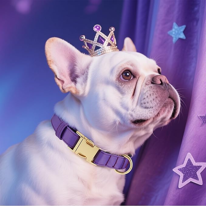 Didog Soft Padded Dog Collar for Large Dogs, Waterproof and Durable Pet Collar with Quick Release Buckle, Light and Breathable for Daily Walking,Purple,L(Neck15-23)