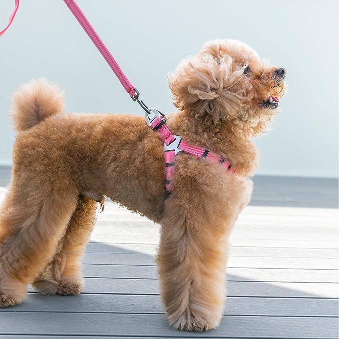 EXCELLENT ELITE SPANKER No Pull Dog Harness Adjustable Nylon Step-in Easy Pet Vest Chest Strap with Reflective and Leash Ring for Small Medium Large Breed Dogs Training Walking(Purple-L)