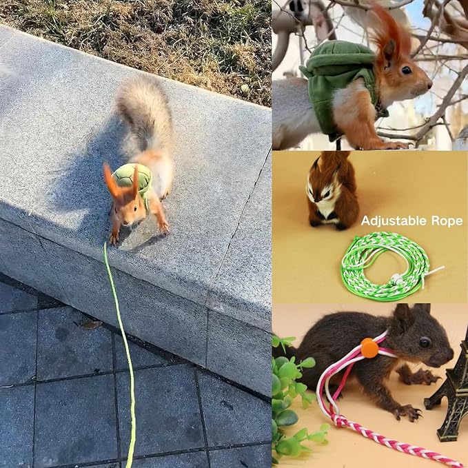 Pet Squirrel Harness and Leash Set Adorable Cloth Vest with Adjustable Leash for Ferret, Squirrel, Dwarf Chinchilla, Guinea Pig, Fancy Rat (Green)
