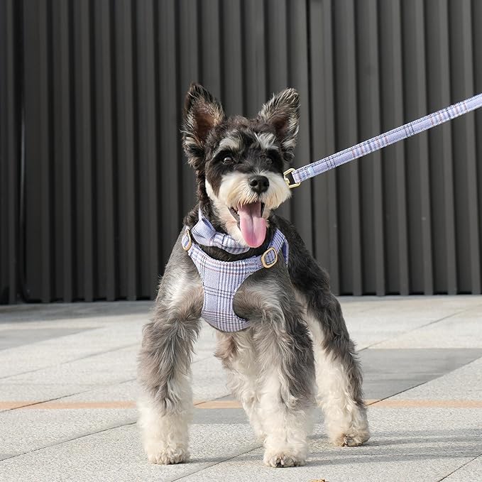 Beirui Cute Small Dog Harness Collar and Leash Set with Bowtie, Soft Adjustable Plaid Puppy Harness for Small Sized Dogs Cats Walks Parties and Photoshoots(Blue,XS:Chest 13-18")