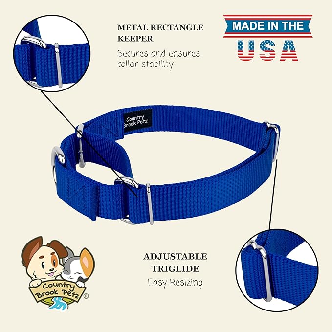 Country Brook Petz Martingale Dog Collar - Heavy-Duty Training Collar with No Buckle - Service Dog Collar for All Pups - Vibrant, Colorful Collection (Royal Blue, 3/4 Inch, Small)