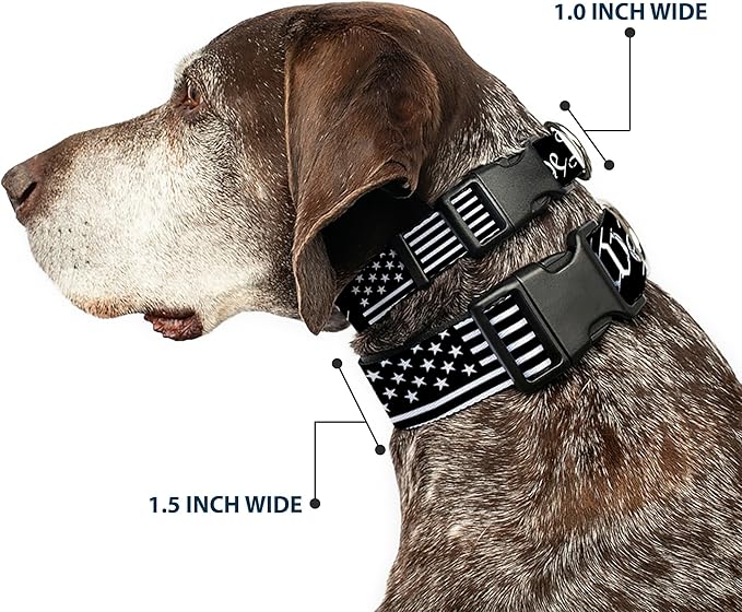 Dog Collar Plastic Clip Americana Flag We The People Black White 9 to 15 Inches 1.0 Inch Wide
