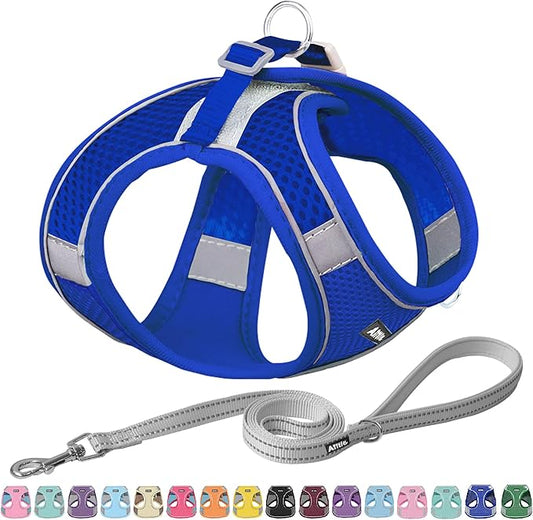 AIITLE Dog Harness, Spring No-Pull Cat Harness with a Leash, Adjustable Reflective Dog Vest, Cat Harness Escape Proof, Outdoor Walking, Camping for Extra Small Dogs and House Cats Royal Blue XXXS
