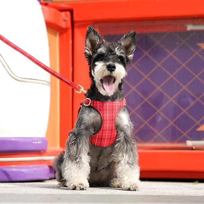 Beirui Cute Small Dog Harness Collar and Leash Set with Bowtie, Soft Adjustable Plaid Puppy Harness for Small Sized Dogs Cats Walks Parties and Photoshoots(Red,XS:Chest 13-18")