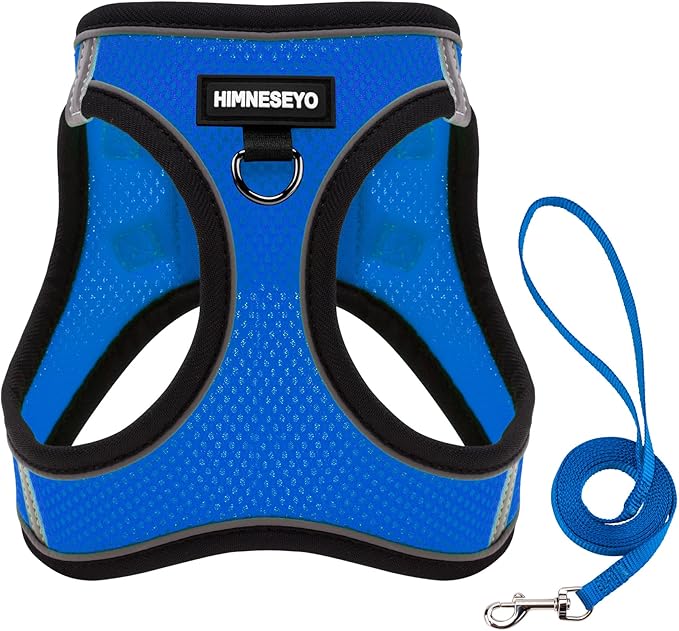 Dog Harness and Leash Set, Dog Harness for Dogs No Pull, No-Chock Step-in Reflective Breathable Lightweight Easy Walk Vest Harnesses with Safety Buckle for Small Medium Dogs, Cats (Blue, XL)