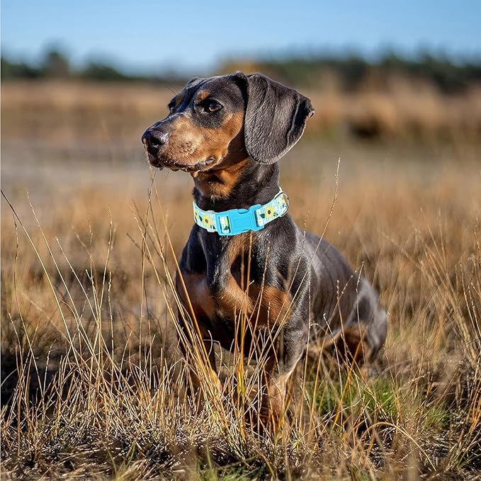 Sunflower Floral Dog Collar - Soft Nylon Adjustable Collar for Small Dogs, Quick-Release Buckle, Durable Pet Collar for Boy and Girl Puppies (S)
