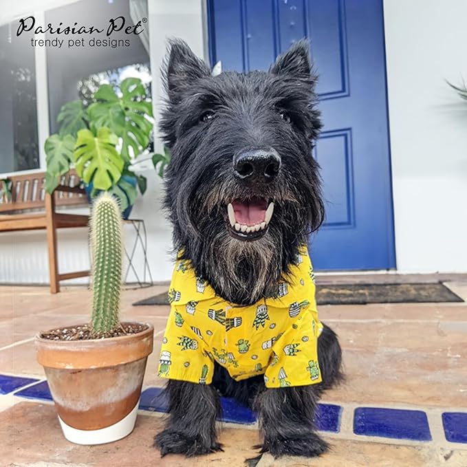 Parisian Pet Cactus Cap Beach Outfit - 100% Cotton Summer Clothes - Stylish Dog Costume - Breathable, Cool & Machine Washable - Small Dogs