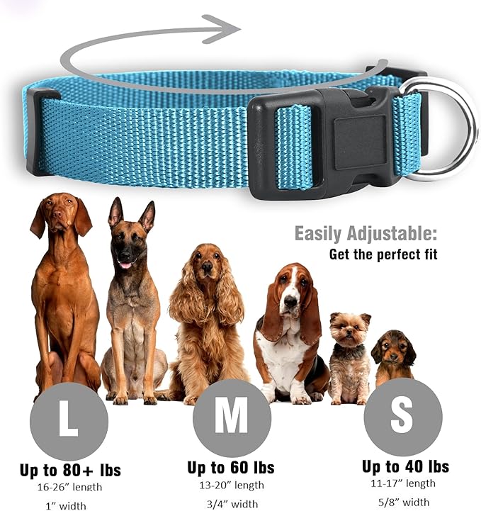 Native Pup Basic Nylon Dog Collar, Adjustable for Small, Medium, Large pet and Puppies Accessories, Cute Colors for Male, Female, boy, Girl, Puppy (Medium, Turquoise)