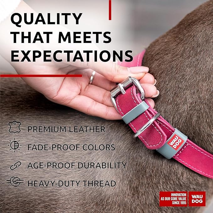 WAUDOG Long Lasting Leather Dog Collar for Large Dogs, Medium & Small Dogs - Adjustable Classic Puppy Collars for Large Breed Dogs - Boy & Girl Dog Collars with Durable Buckle, D-Ring & QR Dog Tag