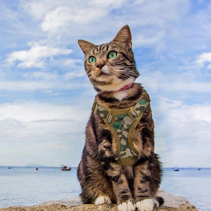 Tactical Cat Harness for Walking Escape Proof, Adjustable Pet Vest Harness, Soft Mesh with Control Handle for Large Cat Small Dog, Gift with Patch (Camouflage, cat Harness only)