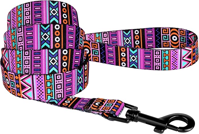 CollarDirect Aztec Dog Leash Nylon Tribal Pattern Cat Pet Leashes for Small Medium Large Dogs Puppy Lead 5 FT Long for Walking (Pattern 2, S)