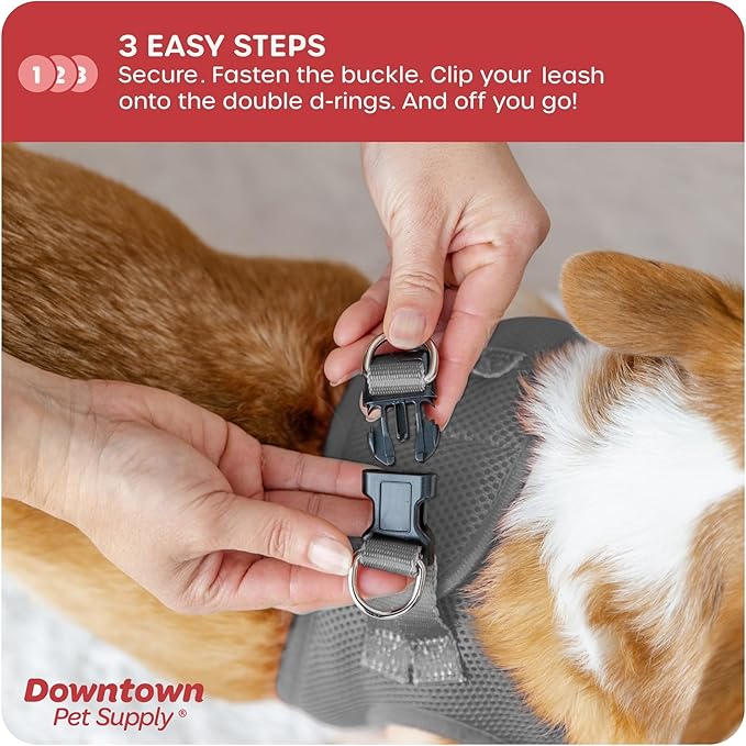 Downtown Pet Supply Step in Dog Harness for Small Dogs No Pull, X-Small, Light Gray - Adjustable Harness with Padded Mesh Fabric and Reflective Trim - Buckle Strap Harness for Dogs
