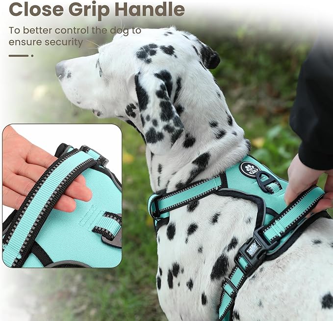 FURRYFECTION Dog Harness | No Pull Dog Harness | Reflective Oxford | Padded Handle | 4 Adjustable Straps | 2 Leash Clips | No Choke Pet Vest Harness for Small Medium Large Dogs | Turquoise | XL