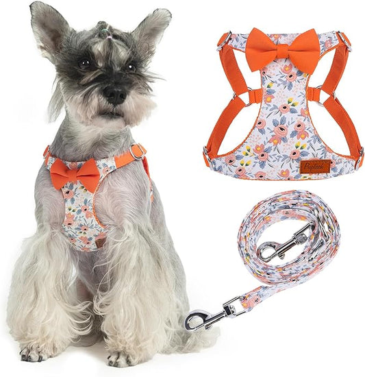 PUPTECK Dog Harness and Leash Set Small Sized, Step-in Cute Puppy Harness, Soft Lightweight Padded Vest, Escape Proof No Pull Pet Harnesses Easy for Walking, Flower Orange, M