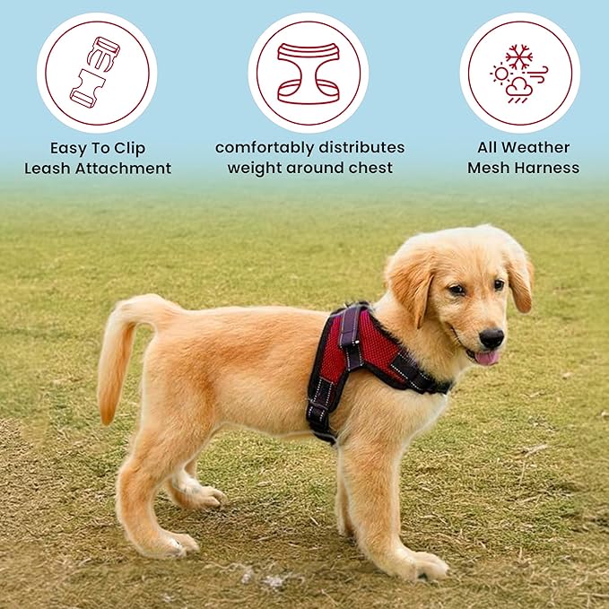 No Pull Reflective Adjustable Dog Harness With Handle- Comfortable Soft All Weather Mesh, Easy On Puppy Harness For Small Medium and Large Dogs (Red) Medium