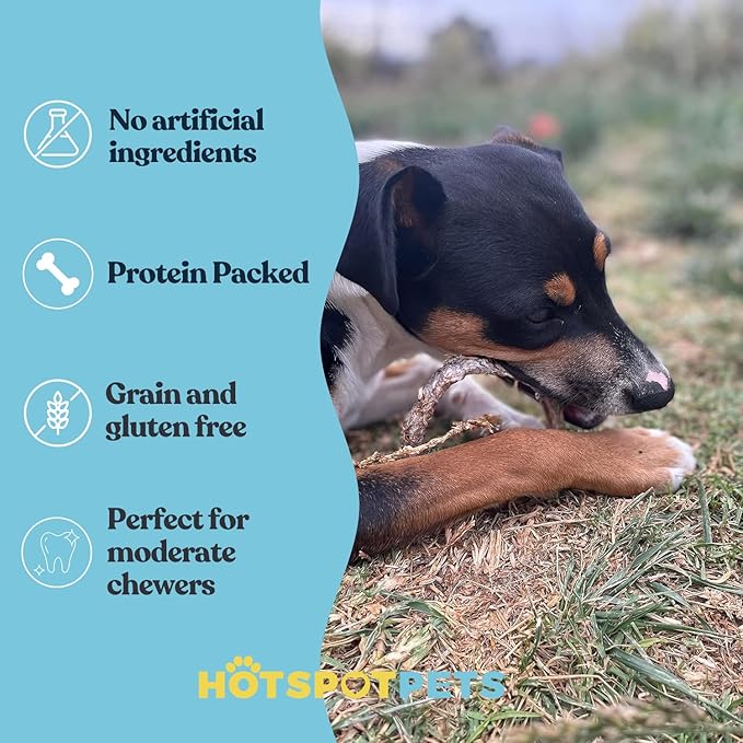 hotspot pets Bully Stick Rings for Dogs - Premium All Natural Long Twisted Beef Pizzle Dog Chew Treats - Grain Free Fully Digestible Rawhide Alternative 50 Count