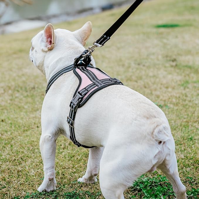 PUPTECK Dog Harness and Leash Set for Small Medium Sized Dogs, No Pull Dog Harness for Walking Training, Adjustable Reflective Puppy French Bulldog Frenchie Harness Soft Padded Vest, Pink, L