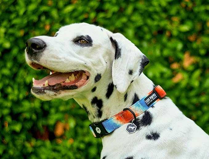 Tuff Pupper Premium Adjustable Dog Collar for Large Girl Dogs, Stylish Pattern Collars Designed in USA, Quick Release Buckle, RadiantSkies Print for Female Dogs, Large (1 Inch Wide x 18-26 Inch Neck)