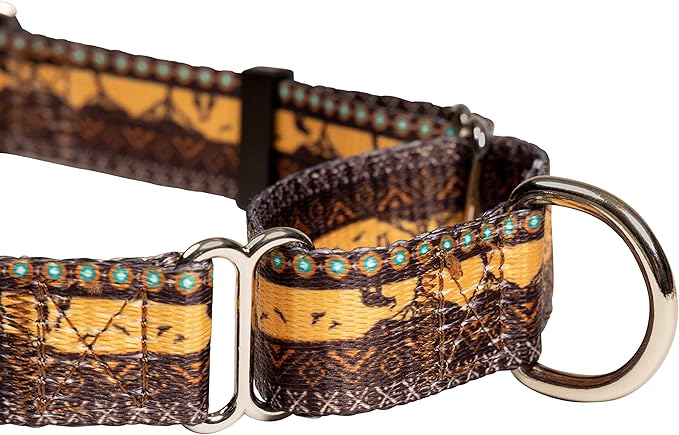 Downtown Pet Supply - Martingale Collar for Dogs - Dog Training Collar - Big, Wide & Thick Dog Collar - Escape-Proof, Weatherproof, Durable and Comfortable - Sahara - Small Dog Collar