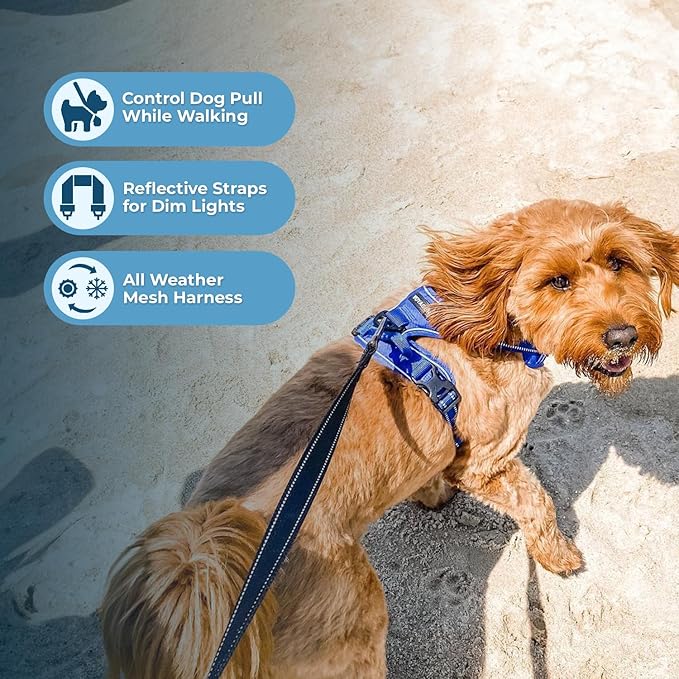 Dog Harness Dual Leash Attachment No-Pull Control Adjustable Soft but Strong Pet Harness for Medium and Large Dogs with 3M Reflective Technology - Harness Leash Set (Royal Blue Lattice), S