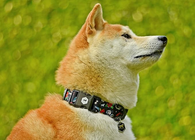 Tuff Pupper Premium Adjustable Dog Collar for Large Boy Dogs, Stylish Pattern Collars Designed in USA, Quick Release Buckle, RebelBlack Print for Male Dogs, Large (1 Inch Wide x 18-26 Inch Neck)