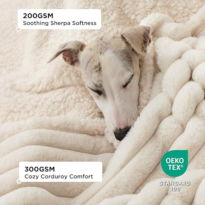 Bedsure Waterproof Dog Blankets for Medium Dogs - Soft Puppy Cat Blanket Corduroy Fleece Washable, Cozy Calming Reversible Furniture Protection for Pet Kitten Doggy,30"x40", Cream