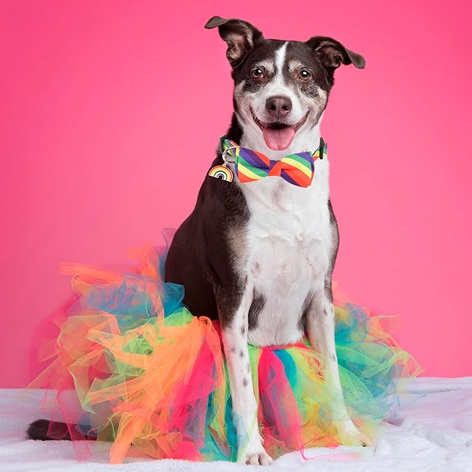 ADOGGYGO Rainbow Dog Collar with Bowtie, Adjustable Striped Pet Bow Collar, LGBT Pride Rainbow Collars for Small Medium Large Dogs Pets (Large)