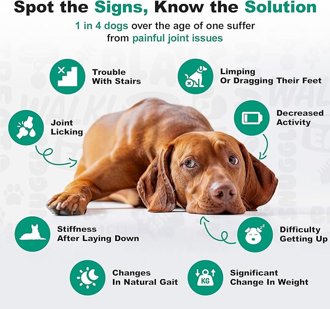 Doggie Dailies Glucosamine for Dogs - Joint Supplement for of All Breeds & Sizes - Hip and Joint Supplement - Premium Glucosamine and Chondroitin for Dogs (Chicken) 225 Chews