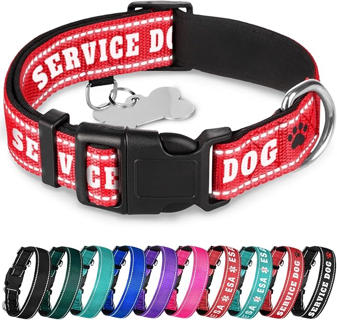 TECEUM Reflective Pet Collar – Red - Service Dog – XL – Extra Soft Padding – Basic Nylon Dog Collar – Quick Release Buckle – Fits Small, Medium and Large Dogs, Puppies, Cats