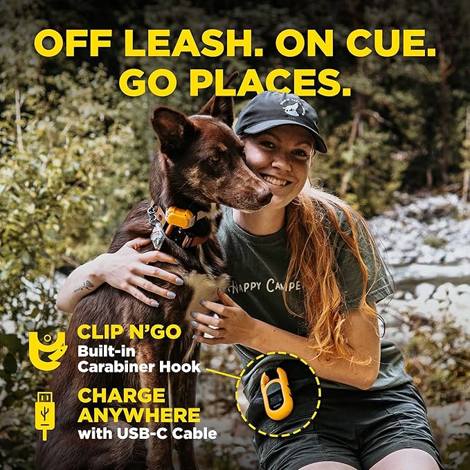 Dogtra CUE Remote Dog Training E-Collar for Small, Medium and Large Dogs - Range of 400 Yards, Waterproof, Vibrating, Rechargeable Correction Ecollar, 24 Training Levels, W/PetsTEK Clicker (1 Dog)