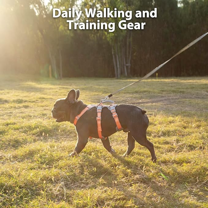 No Escape Dog Harness, Escape Proof Harness, Fully Reflective Harness with Padded Handle, Breathable,Durable, Adjustable Vest for Medium Dogs Walking, Training, and Running Gear (Orange,M)