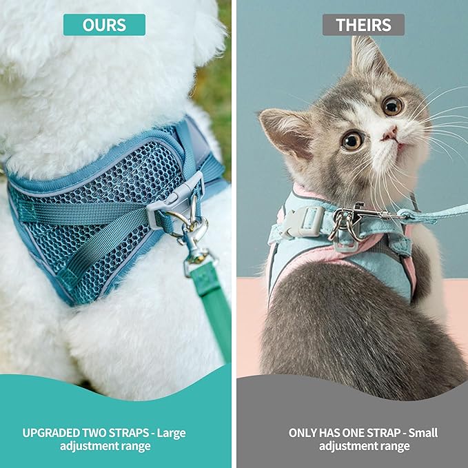 AIITLE Extra Small Dog Harness - Step in Vest Harness with A Leash, Reflective Bands, Soft Breathable Pet Supplies, Outdoor Pet Vest for Extra Small Dogs and House Cats Turquoise XXXS