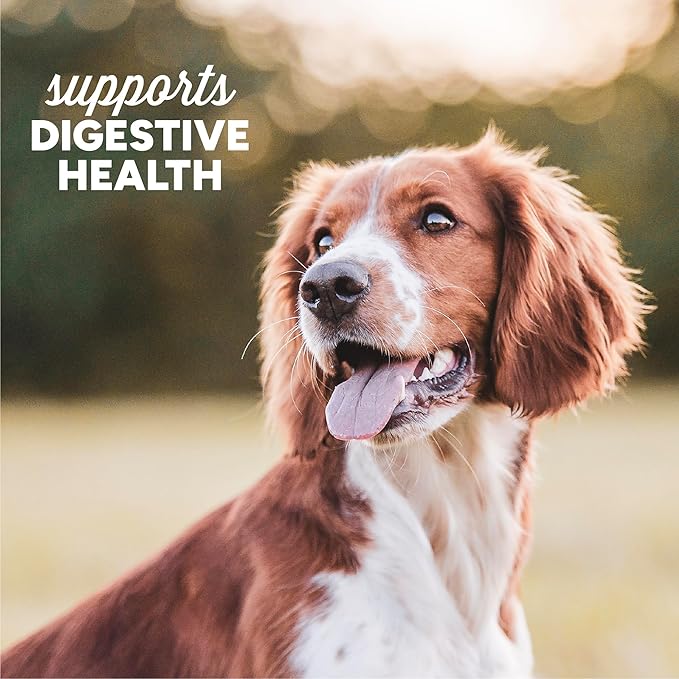 Cloud Star Dynamo Dog Tummy Treats – Soft & Chewy Probiotics Support for Dogs (14 oz. Pumpkin and Ginger) (20212)