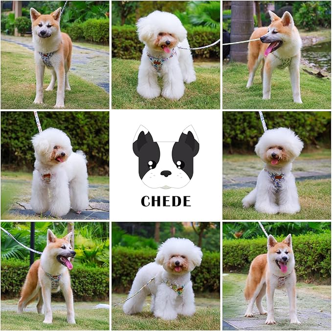 CHEDE No Pull Plain Pattern Dog Harness - Lightweight and Soft, Adjustable for Small and Medium-Sized Dogs, Includes Leash