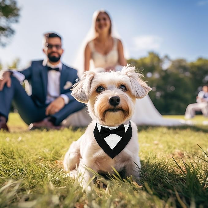 cyeollo 2pack Dog Tuxedo Bandana Wedding Collar with Bowtie Adjustable Doggies Tux Pet Party Birthday Christmas Dog Costume for Medium Dogs Black & Plaid L