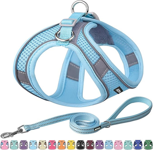 AIITLE Escape Proof Dog Harness - Step in Adjustable Dog Harness No Choke Over with Breathable Mesh and Quick-Release Buckle for Spring- Outdoor Walking, Camping for Medium Dogs Pure Blue XL