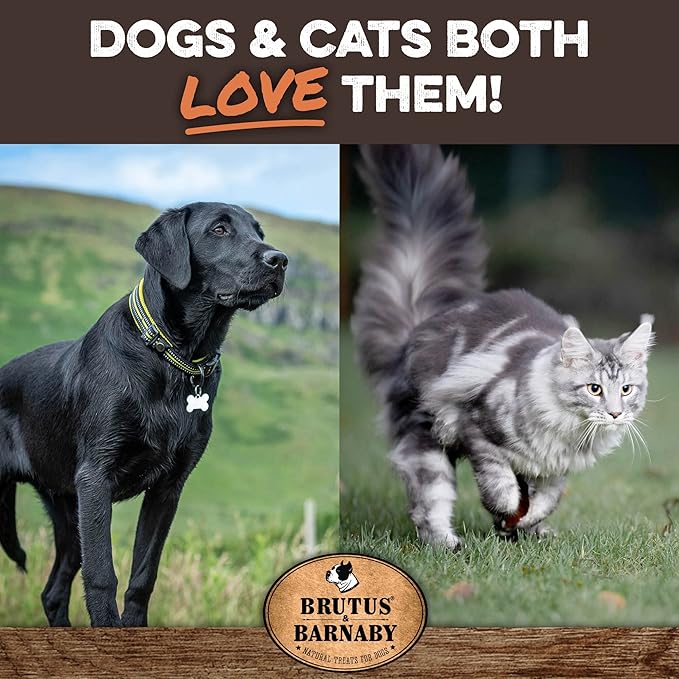 BRUTUS & BARNABY Beef Meat Sticks for Dogs - Thick & Hearty Beef Liver & Lung Dog Treat Made in USA - Protein Packed, Crunchy, Healthy Dog Treats - Grain Free, Rawhide Free, No Additives
