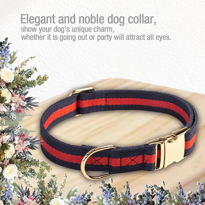 Elegant and Nobility Dog Collar, Comfortable and Durable Pet Collars,Luxury Dog Collars Packing Gift for Puppy Small Dogs