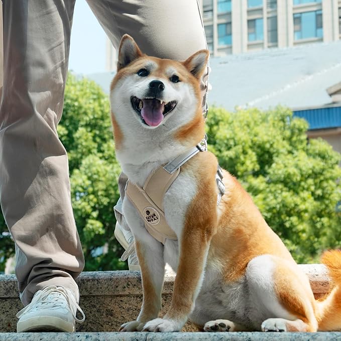 Patas Lague Dog Harness with Leash Set Adjustable Soft Padded Step-in Dog Vest No Choke No Pull Reflective for Small Medium Pets with Poop Bags and Dispenser, Solid and No-chew, Brown M