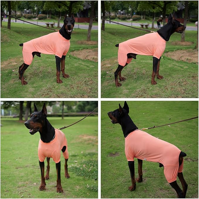 LoveLongLong Dog Jumpsuit with UV Protection and Quick-Dry Fabric for Spring Summer Pet Pajamas Lobster Pink L