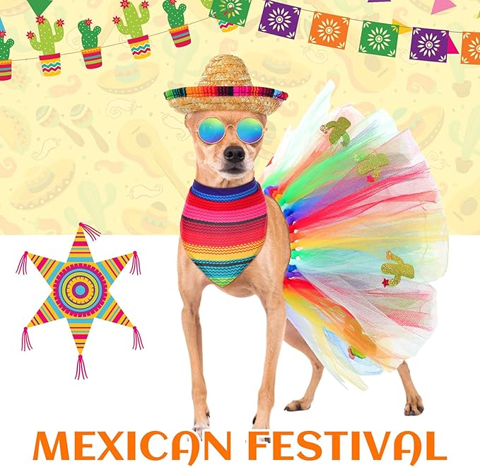 JaGely 4 Pieces Pet Mexican Costume Dog Outfit Accessories Includes Mexican Cinco De Mayo Pet Sombrero Hat, Triangle Dog Bandana Glasses and Tulle Tutu Skirt for Medium Large Pets Mexican Costume