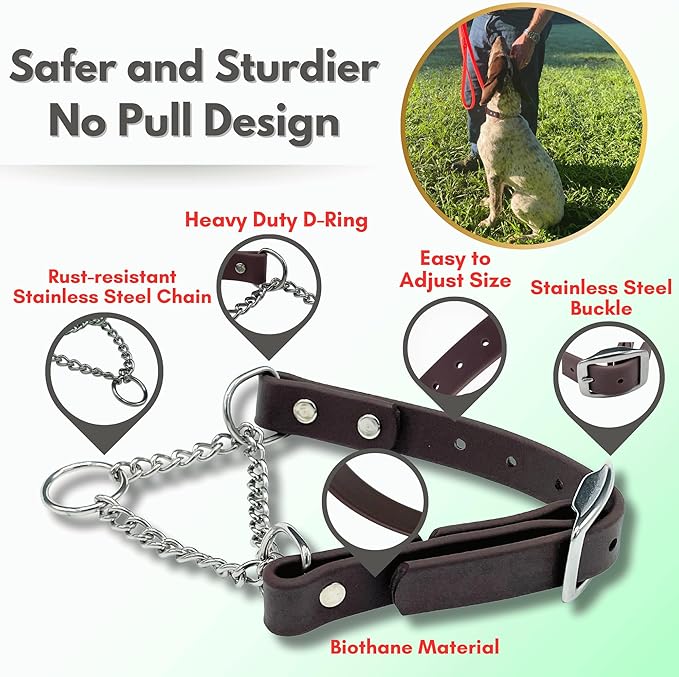 Martingale Collar for Dogs, Biothane, Stainless Steel Hardware, No Pull, Made in The USA, Professional Grade, XXS, Brown