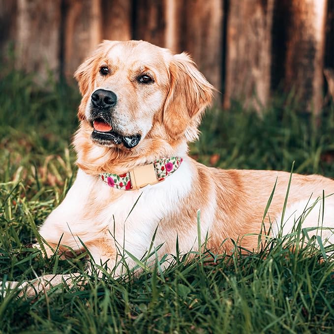 Dog Collar and Leash Set Girls Adjustable Puppy Collars with Floral Bow Tie for Small Medium Large Female Dogs, Red Rose, M