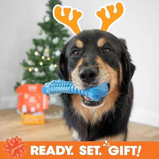 Nylabone Dog Gift Box, Includes 3 Rubber Strong Chew Toys and 1 Natural Treat, Gifts for Dogs, Large - Up to 50 lbs, 4 Pack