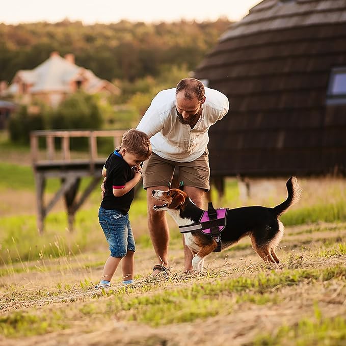 Dogline Reflective No-Pull Adjustable Vest with Handle for Walking, Training, Service Breathable No - Choke Harness for Small, Medium or Large Dogs Room for Patches Girth 15 to 18 in Pink