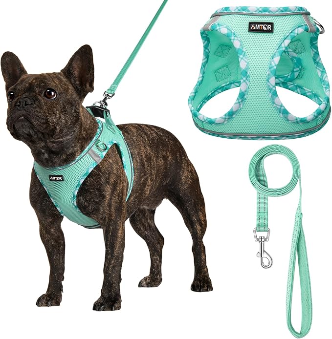 AMTOR Small Dog Harness with Leash Set, No Escape Easy Walk Puppy Harnesses for Training Walking, Step-in Reflective Soft Dogs Vest for XS S Medium Extra-Small Large Sized Dog(Green,M)