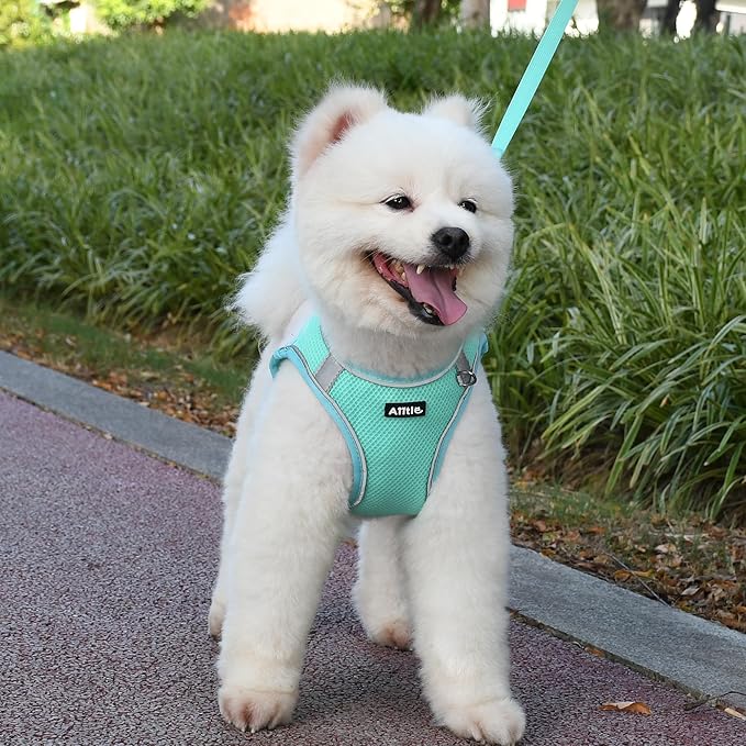 AIITLE Small Dog Harness, No-Pull Cat Harness with a Leash, Step in Adjustable Puppy Harness with Quick-Release Buckle, Reflective Outdoor Pet Vest for Extra Small Dogs and House Cats Turquoise XXS