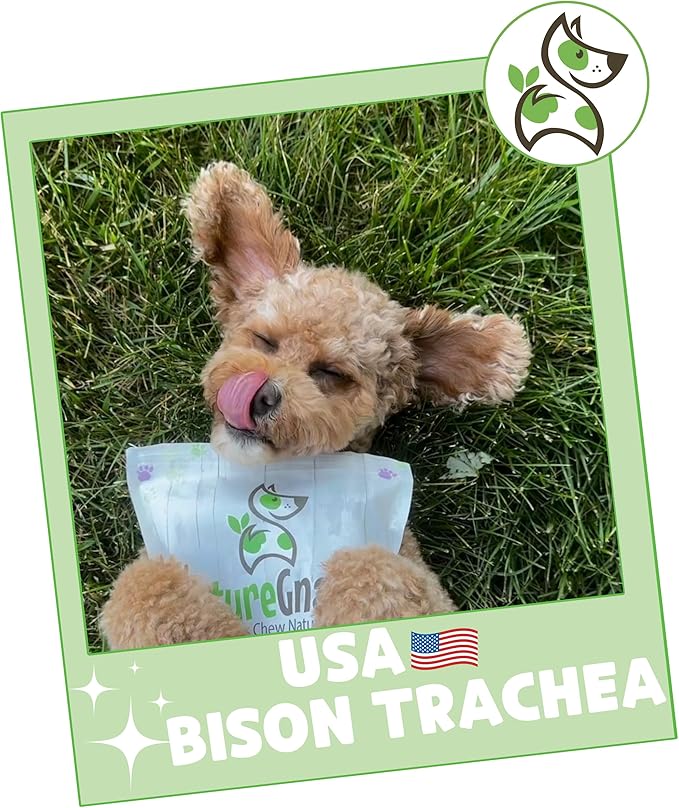 Nature Gnaws USA Smoked Bison Trachea Rings for Dogs (1Lb) – Delicious Grain Free Long Lasting Chew - Premium Natural Dog Chew Bones - Rawhide Free